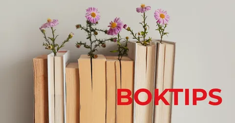 Boktips för sensommaren: 5 böcker att njuta av innan hösten är här