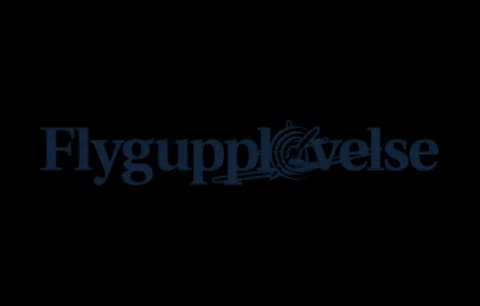 Flygupplevelse logotyp